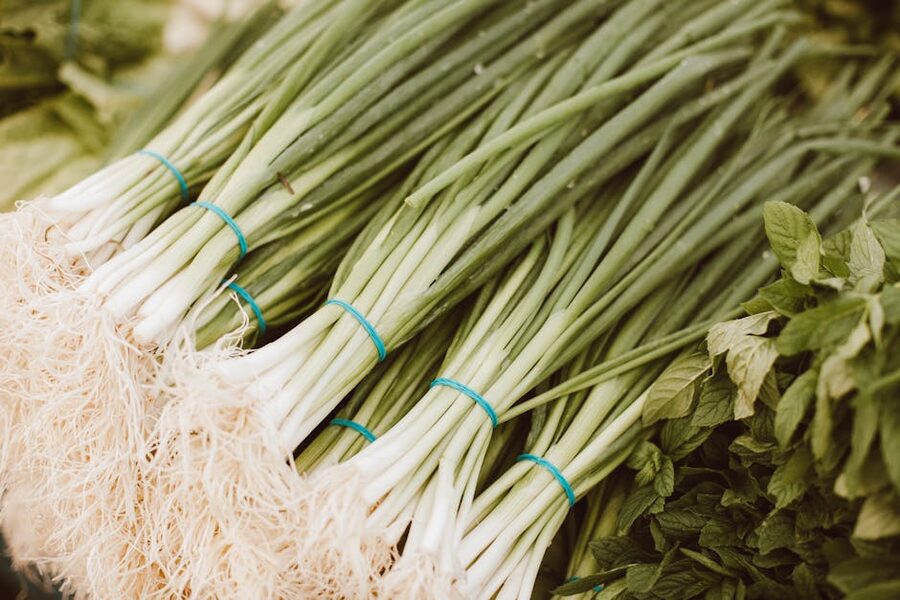 Bundles of fresh scallions and green onions for cooking