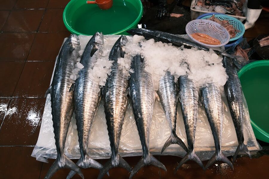 Fresh fish on ice at a market stall