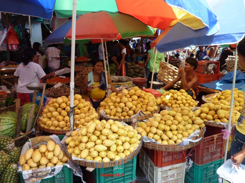 Mangoes in baskets at Cebu Carbon Market