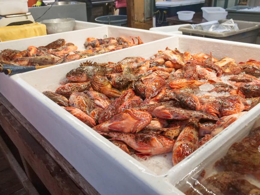 Fresh whole fish on ice at a Cebu seafood stall