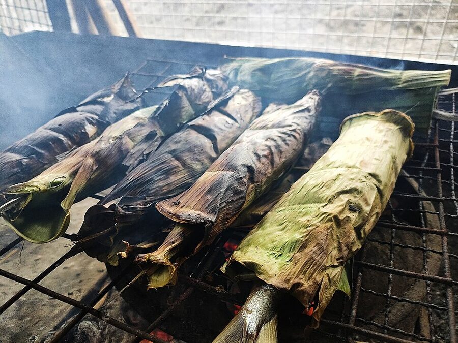 Grilled bangus milkfish split open
