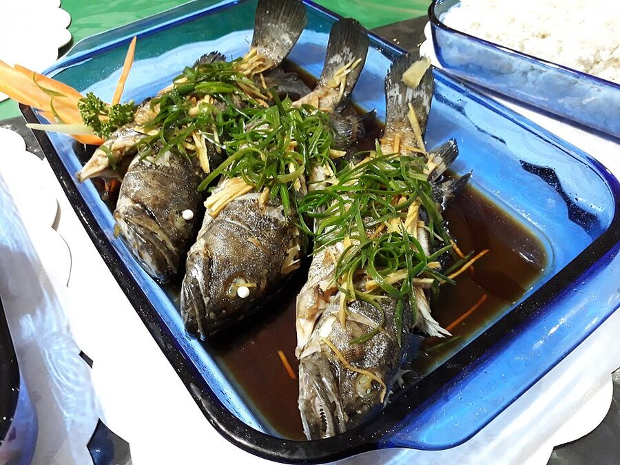 A steamed lapu-lapu grouper served whole on a platter